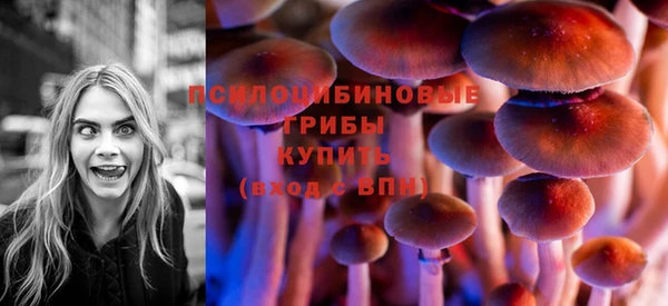 бошки Сосновый Бор