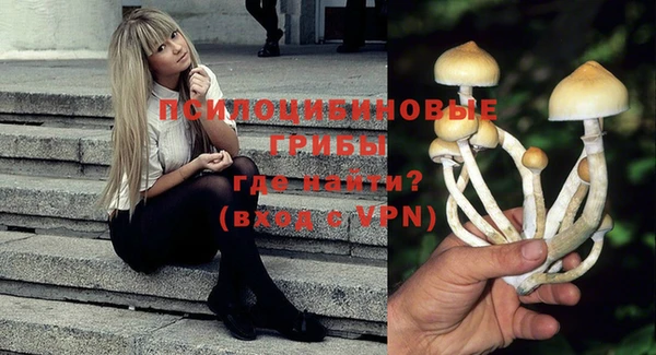 гашик Белоозёрский
