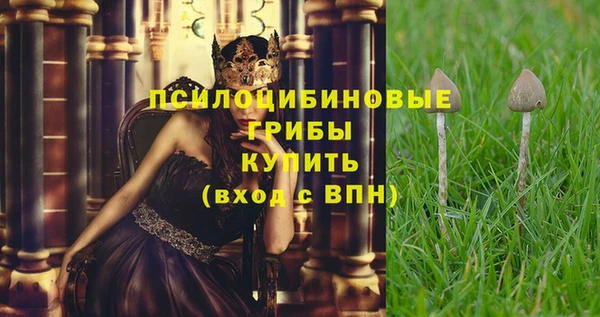 мет Белокуриха