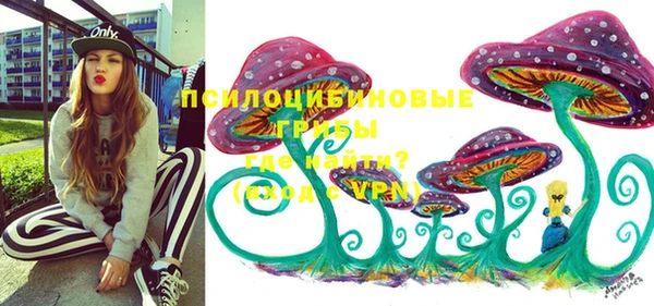 мет Белокуриха