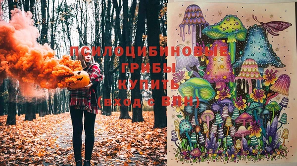 мет Белокуриха